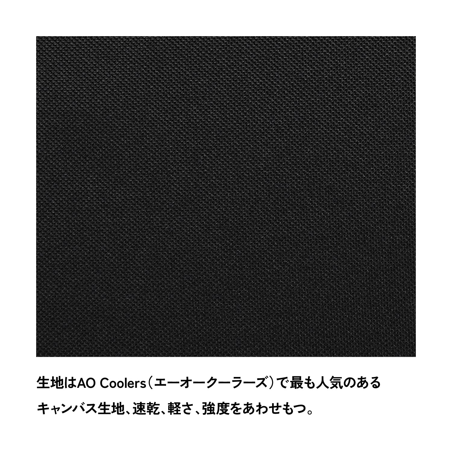 AO Coolers(エーオークーラーズ) 9パック キャンバス ソフトクーラー