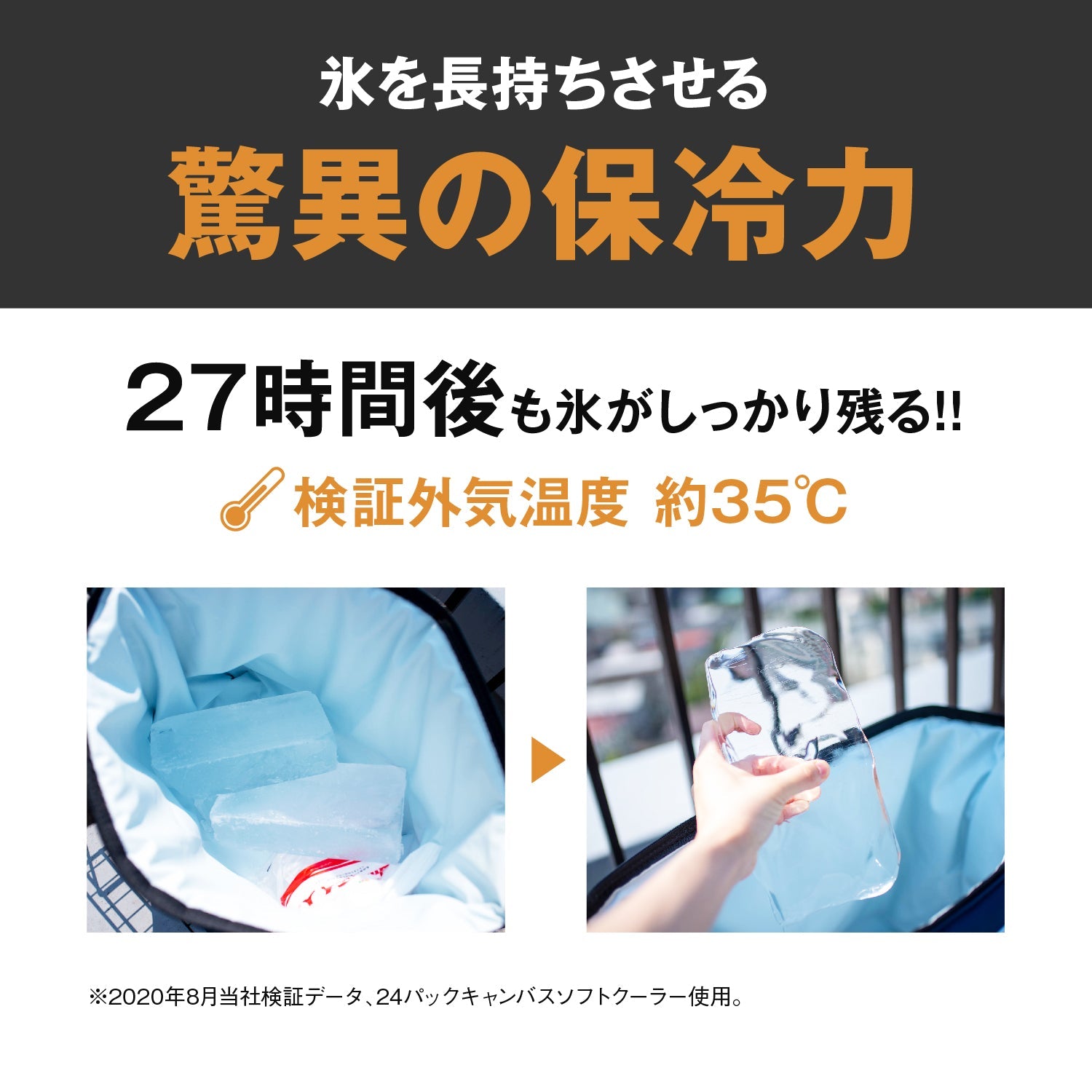 AO Coolers(エーオークーラーズ) 12パック カーボン ソフトクーラー - ビッグウイングオンラインストア