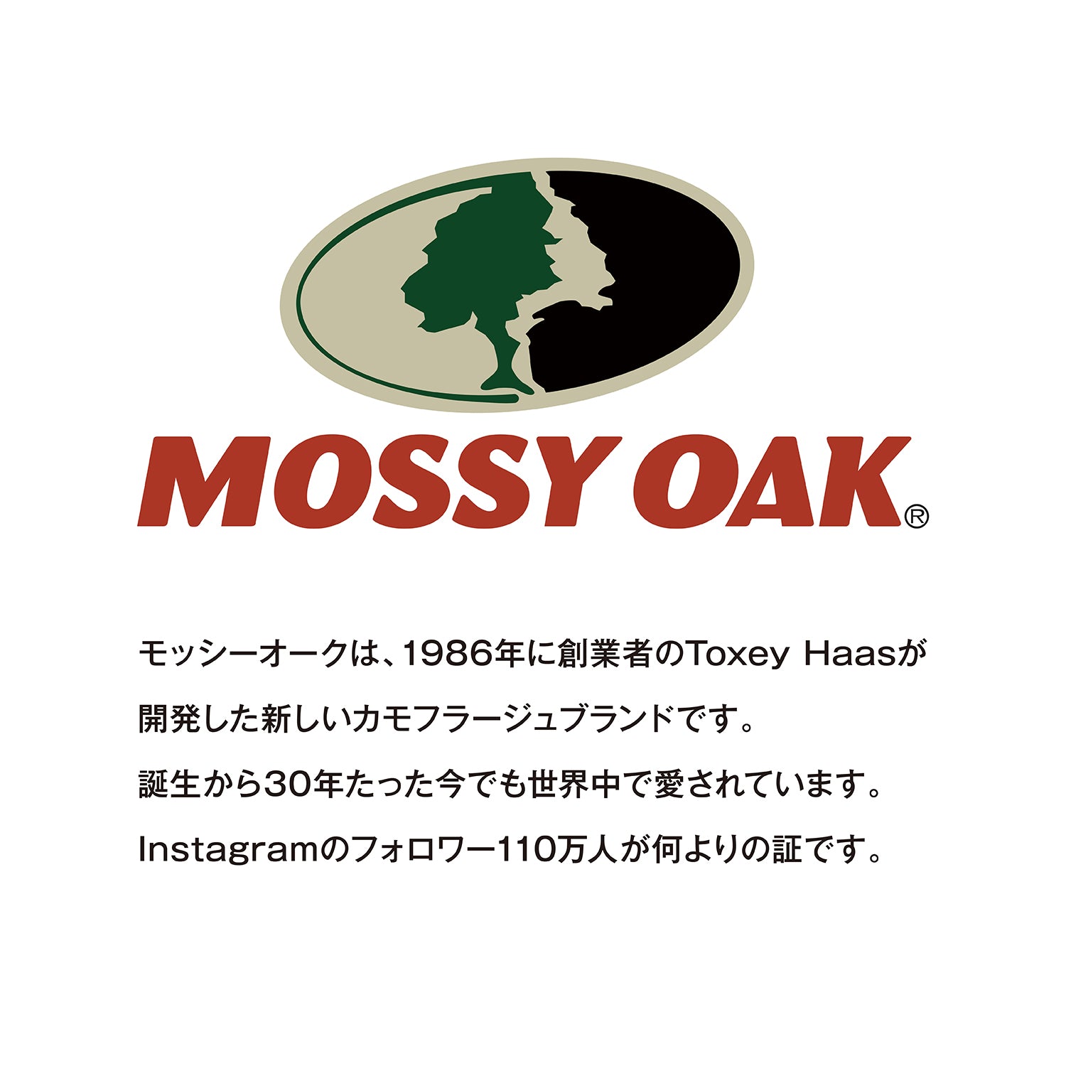 AO Coolers(エーオークーラーズ) 24パック キャンバス ソフトクーラー ボトムランド - ビッグウイングオンラインストア