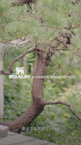 STANLEY(スタンレー) The Quencher H2.0 NAIJEL GRAPH 0.88L BLACK